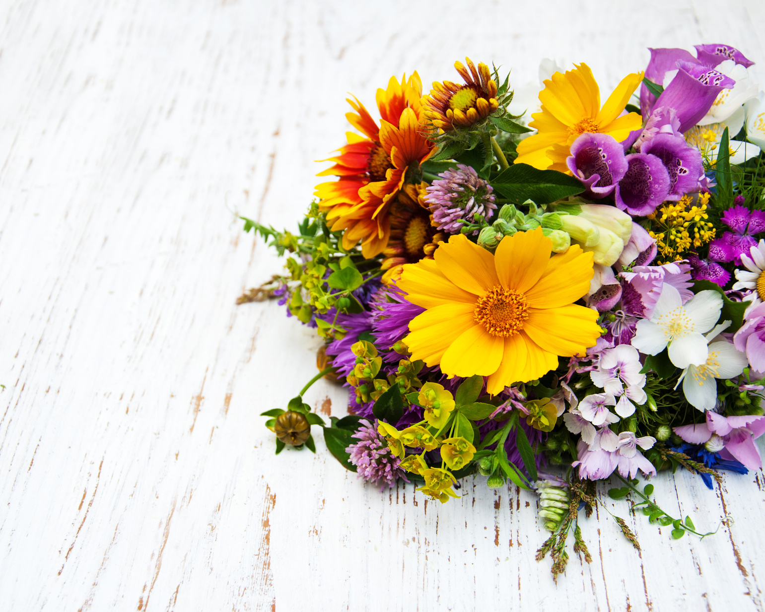 縁起の良い 花言葉特集 各種お祝い花から供花までお花贈りの情報まとめサイト 花秘書マガジン